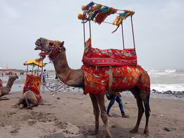 Somnath Beach-3